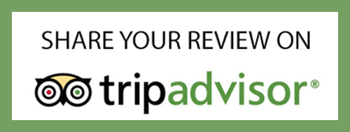 Reviews of Hotels, Flights and Vacation Rentals